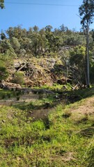 Warrumbungle National Park, New South Wales, Australia