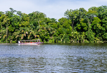 Sunset with a tour boat sailing along the canals in the Tortuguero National Park of Costa Rica