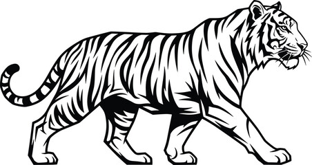 Tiger walking illustration, powerful big cat artwork, striped predator silhouette design, wild animal graphic for logos, tattoos, and decoration
