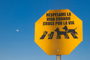 Street sign with tne text:  Respect my life when I cross the road asking for respect for the lives of animals