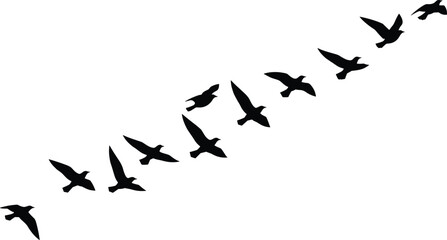 Flying bird silhouettes, migrating flock in motion, diagonal formation artwork, minimal black wildlife design, simple nature illustration for backgrounds