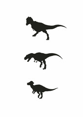 Silhouette of three dinosaurs, Tyrannosaurus Rex, Megalosaurus and Pachycephalosaurus against a white background, prehistoric creatures