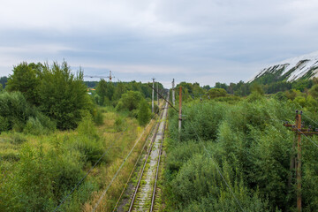 Train track is surrounded by trees and grass