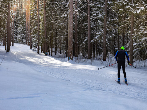 Man is skiing down a snowy slope in the woods