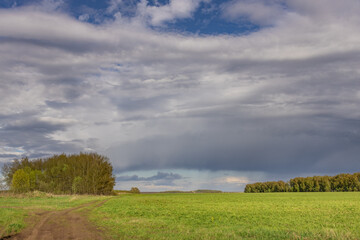 Obraz premium Cloudy sky with a few trees in the background