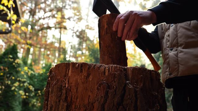 Chopping firewood. close-up of the axes work in the suns rays and glare.man chopping firewood in sunny weather against a backdrop of yellow autumn trees