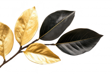 A beautifully arranged branch featuring golden and deep black leaves against a clean white background. a modern and elegant aesthetic perfect for home decor or design projects