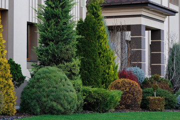ornamental plants near the house

