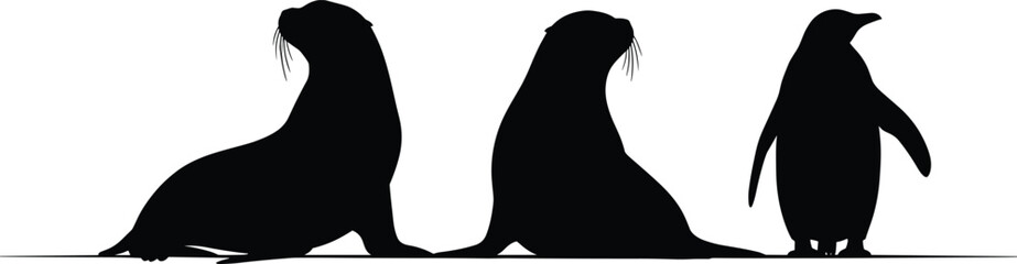 Silhouette of sea lions and penguin on white background, marine wildlife vector illustration for educational, nature, and animal-themed content