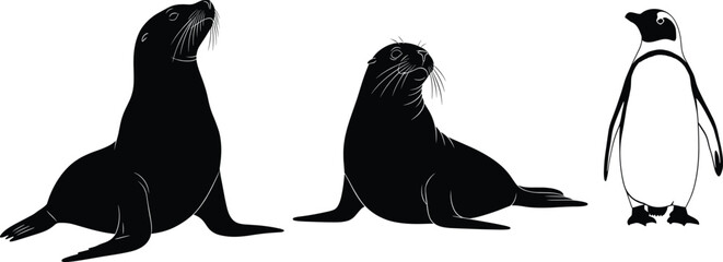 Minimalist black silhouettes of seals and penguin in various poses, marine wildlife vector illustration for nature, animal, and zoo themes