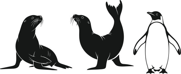 Black and white vector silhouettes of marine animals including seals and penguin for wildlife illustration, educational design, and nature themes.