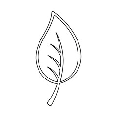 Black and white outline of a simple leaf with detailed veins and stem.