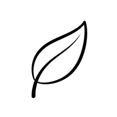 Simple black and white line drawing of a single leaf, showing its shape and veins.