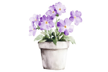 Naklejka premium A beautiful watercolor illustration of a potted violet flower arrangement purple blooms with delicate petals. set against a clean white background. ideal for home decor or gardening themes