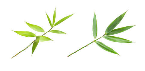 Obraz premium Two bamboo branches with green leaves arranged artistically on a clean white background. symbolizing tranquility and nature. ideal for wellness or environmental themes