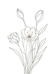 Obraz premium vector illustration of a flower