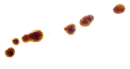 spice oil on transparent background