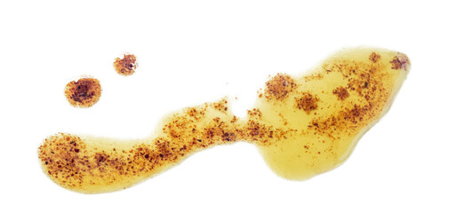 onion oil stains on transparent background