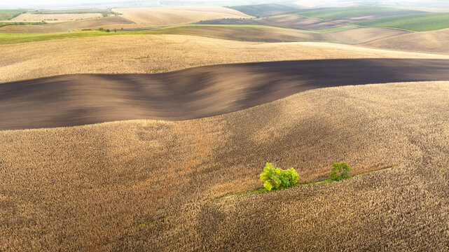 Aerial view of earth tones blending across undulating fields, with a patch of recently tilled soil creating a striking contrast, Brno, South Moravian Region, Czechia.