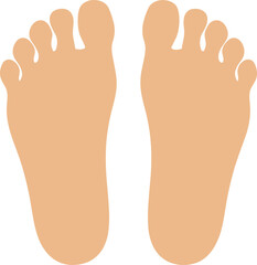 Flat Style Human Foot Sole Anatomy and Digital Art Illustration