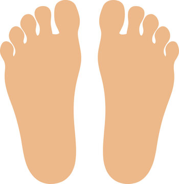 Flat Style Human Foot Sole Anatomy and Digital Art Illustration