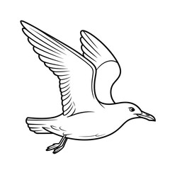 Line drawing of a seagull in flight