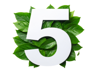 White number five surrounded by lush green leaves on black background
