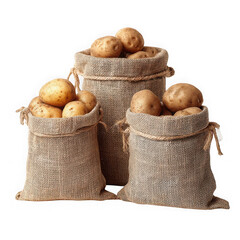  three jute bags with fresh potatoes on white backgroud.
