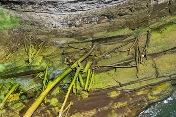 Natural landscape of moss-covered rocks and fallen trees along a riverbank during daylight moments