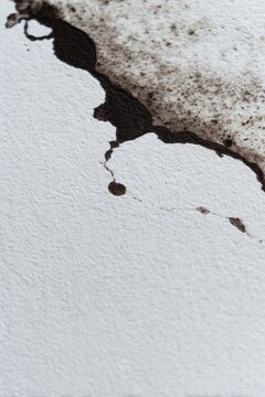 overpainting. A pure white canvas with a single black ink stain spreading organically at the edges. wellbeing guides.
