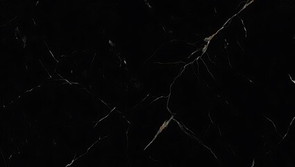 Marble black texture with white veins