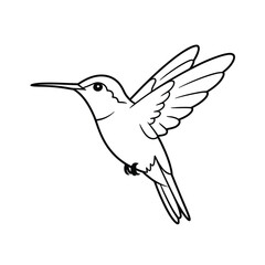 Elegant black and white line drawing of a hummingbird in flight