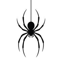 Black silhouette of a spider hanging on a thread