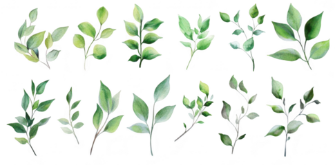 A collection of beautifully illustrated green leaves in various shapes and sizes. intricate details and hues. perfect for nature-themed designs and backgrounds
