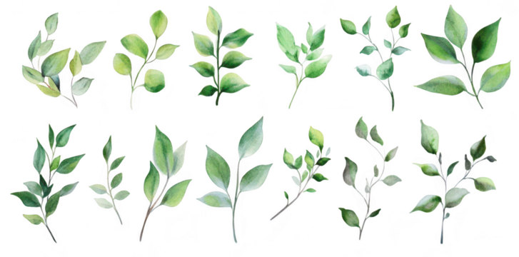 A collection of beautifully illustrated green leaves in various shapes and sizes. intricate details and hues. perfect for nature-themed designs and backgrounds