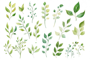 A collection of various green leaves illustrated in a watercolor style. different shapes and shades. perfect for nature-themed designs or botanical projects