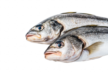 Two fresh fish with shiny scales and detailed features resting on a clean white surface. their eyes and natural colors. ideal for culinary presentations or seafood-related content