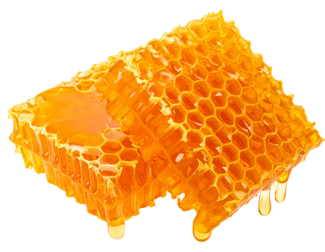 Close-Up of Natural Honeycomb Texture, isolated on a transparent background. - Powered by Adobe