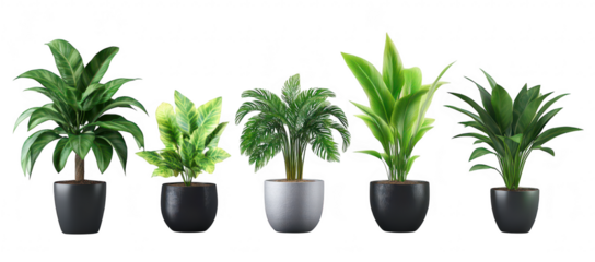 A display of five diverse indoor plants in stylish pots arranged neatly against a clean. minimalist background. their lush foliage and enhancing home decor aesthetics