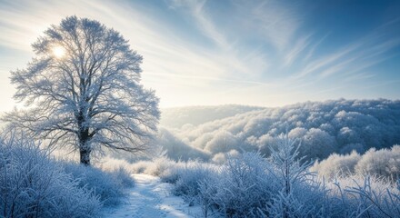 Stunning winter landscape with a solitary tree heavily frosted with snow and ice, bathed in bright sunlight against a clear blue sky over rolling, snowcovered hills
