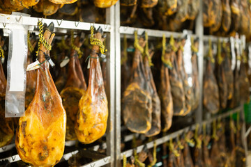 Process of making high quality ham from natural farm pork meat at the factory. Large batch of jamon...