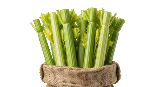 Fresh celery stalks in a burlap bag isolated on transparent background