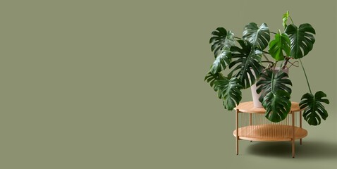 Table with Monstera houseplant on green background with space for text © Pixel-Shot