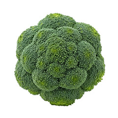 Fresh green broccoli head, a healthy vegetable, isolated on transparent background