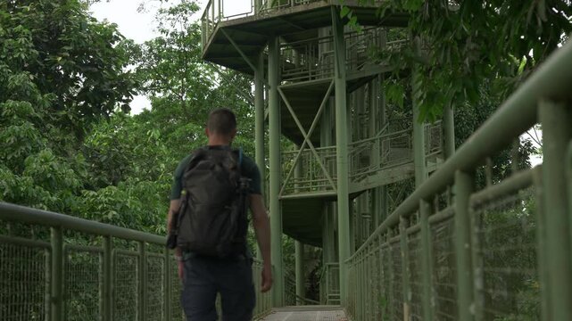 Static low-angle shot from the RDC canopy walkway, looking up at the observation tower as a man walks into frame, pauses, and looks down into the jungle below.