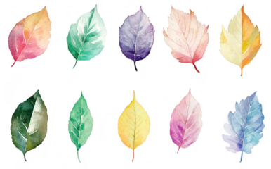 A collection of watercolor leaves in various colors and shapes. the beauty of nature. ideal for use in design projects or as decorative elements