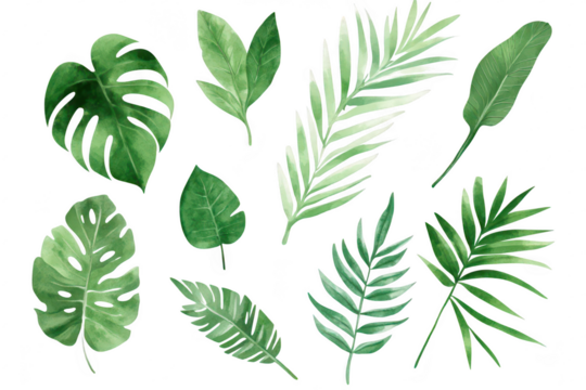 A collection of various green tropical leaves. different shapes and textures. set against a clean white background. ideal for nature-themed designs or botanical illustrations - Powered by Adobe