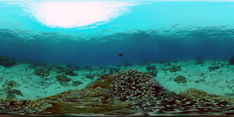 Colourful tropical coral reef. Scene reef. Marine life sea world. Philippines. 360 panorama VR