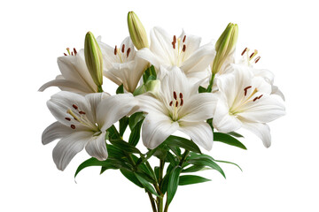 Obraz premium Bouquet of white lilies with green stems and leaves on black background lily flower, Isolated On Transparent Background, Png