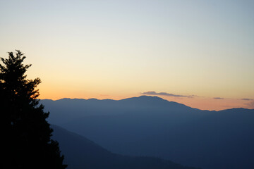Mountain Silhouette and Pine Tree at Golden Hour Sunset